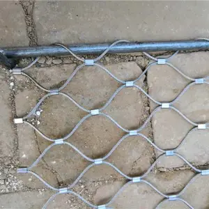 ����������� ���۲��������