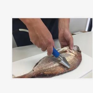 日本朝日产业asahi手持式自动刮鱼鳞机TASCALE/AST-150
