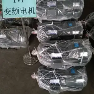 金华YZF系列变频调速三项异步电动机