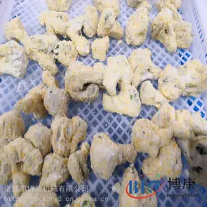 西蓝花裹粉机 全自动 蔬菜滚筒上粉机
