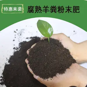 柑橘葡萄用羊粪 绿化改良土壤土质腐熟羊粪有机肥厂