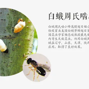 �Գ��γ棬������С��***�����׶���۳�Ŀ�к�����