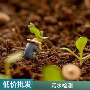 �����ŷŷ������ ���ڻ����������� 2025�������ٳ�����
