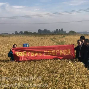 水稻增产套餐高产套餐芸多乐多少钱