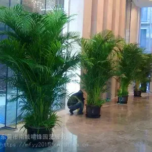 ��Ӧɢβ�� ��β�� ��ݸֲ����� ��ݸ�������� ��ݸ��ֲ