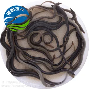 �����е�ˮ������������ ����ʽ������ֳ���ػ����� ����ˮ����Ӧ