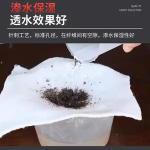 ����������������������������������������ˮ��������ֳ������