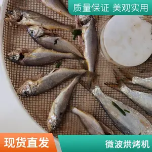 网红大虾烘干机器 全自动微波烤虾设备 即食虾干燥设备