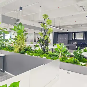办公室植物租摆 鲜花绿植花木出租 室内花卉盆栽供应商 开业花篮
