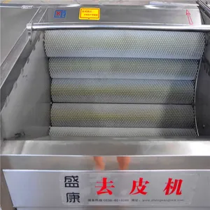 hz-1000红薯去皮机土豆清洗机厂家花生清洗机供应商
