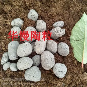 Ϋ����ǿ������Ӧ������Щ��ҵ157-0554-4388