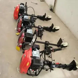����6������������� С���洬�ҽ��� ʡ���洬�ҽ���