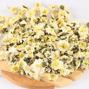 意向客户联系一起做菊花生意七月菊金丝皇菊黄山贡菊