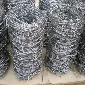 ��������ִ����� pe��˿����Ǯ �����̸�˿���۸�
