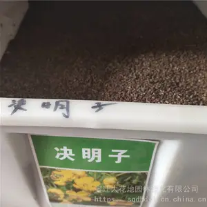 ��������ҩ������ ���������� ��ѿ*** �۸���� ***