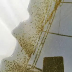 ��������ˮ�� �Ĵ���� ���� �޷� ���� ������ ���� �ƹǹ�����ϵ�