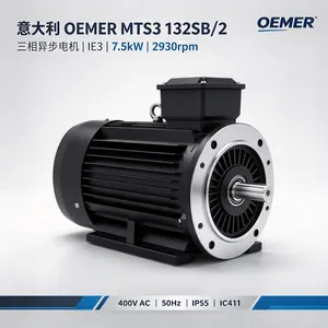 �����OEMER��Ĭ MTS3 132SB/2�����첽��� IE3 ��������������