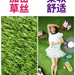 2cm春草新款(户外户内通用)