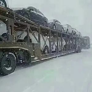 ĵ���������γ����˹�˾-С�������˱��/��ȫ