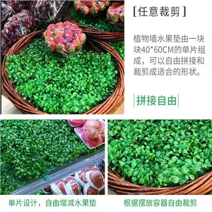 ���ݷ�������ֲ��ǽˮ�������̵�����������������ֲ�ٲ�ƺ��̺
