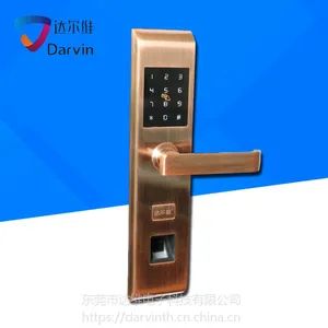 达尔维家居防盗门锁 智能电子锁 指纹密码锁批发厂家