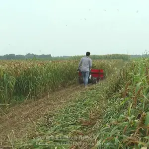 ��Ҷ�յͲ��ɹ�� ��ʪ�ո�ũ���ո�� ����֥����