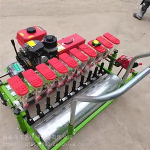 ���Ϳ�������� 3��4���߲˲��ֻ� С�������ֲ˻�