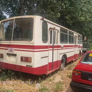 ���������ϴ�͡������ɶ������ϴ�͡�