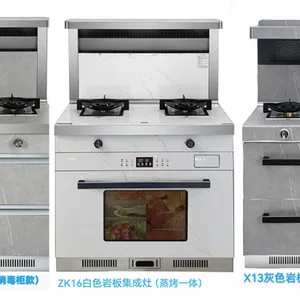 深圳柴火集成灶 诚信经营 中山市美炊电器供应