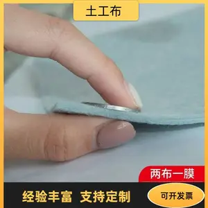 土工布透水土工膜 水库堤坝加固材料 非织造布 现货批发