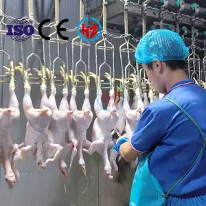 家禽鸡鸭鹅屠宰流水线设备不锈钢材质自动可定制
