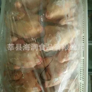 ��Ӧ�ٶ����Ƽ�