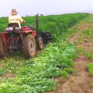 С��ˮ���ո�����һ�ߵ������ո�������ո��