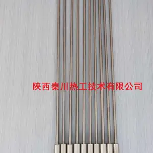 西安顺泰CDQ-A脉冲电子点火枪厂家/石化点火枪/锅炉燃气点火枪厂家供应
