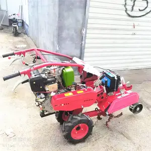 ���ʹ�������� ��԰������ �ַ���԰������