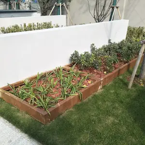 ���ҽ�����ͼ�ӹ����� ����Χ����ʴ �����ͺ�ֻ�̳ ��Ȼ��ɫ����