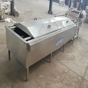 家用小型洗菜机生菜洗菜机使用食堂饭店使用的洗菜机厂家特惠