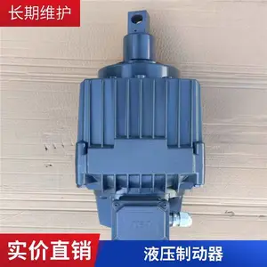 电磁保持液压推动器ZED-121/6电力液压推动器 焦作工力