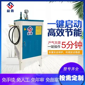 亮普厂家直销小型 电加热蒸汽发生器 5分钟快速产汽 耗能低