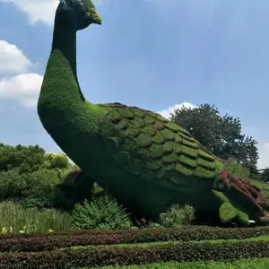 ������ͨ����������������̵���� ��������