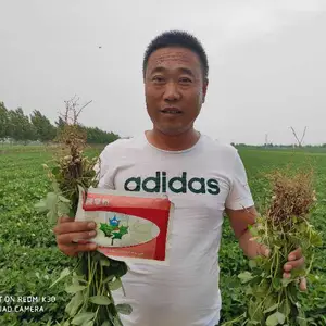 作物多收增产套餐 芸乐收芸喜收同款 园掌柜叶面肥