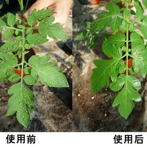 GT-248 有机硅农药化肥助剂高效展着润湿渗透