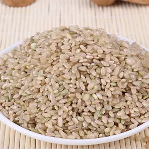 彝山香批发 绿糙米 绿硬米 杂粮 粗粮