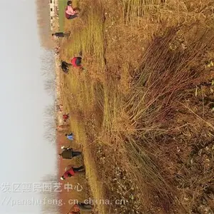 �����������磬�����޽��磬ˮ���ҡ��ĺ�������۸�
