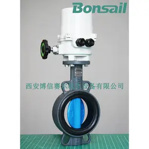 DN50�����ӵ��� VKF42�������綯���� ����SQL321B25ִ��ͷ