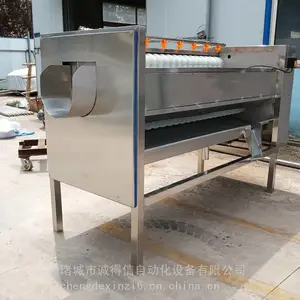 小型全自动果蔬毛刷脱皮机 土豆红薯洋芋毛辊脱皮机