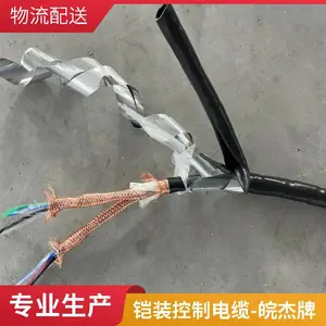 ZRA-DJVPVP22-2×2×1.0阻燃铠装铜丝编织分屏+总屏计算机信号电缆