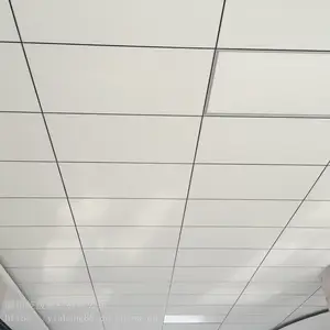 �칫¥����΢�׵��������� 595x595�컨���������ǵ���