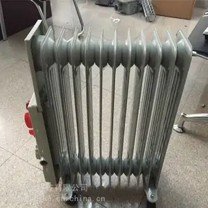 ����RB-2000/127��A������ȡů�� �����͵���ȡů��