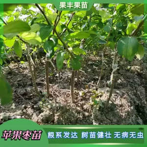 ̨��ţ���������������� �۸����